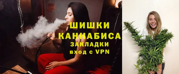 PSILOCYBIN Белокуриха
