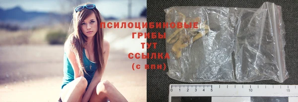 винт Богородицк