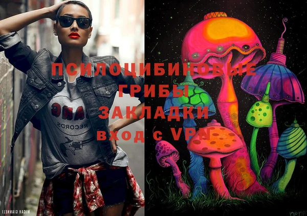 PSILOCYBIN Белокуриха