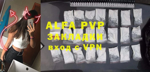 PSILOCYBIN Белокуриха